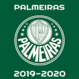 Palmeiras 2019-2020 DLS/FTS Kits and Logo