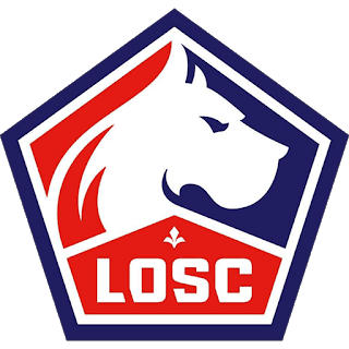 dls-losc-kits-2018-2019-logo