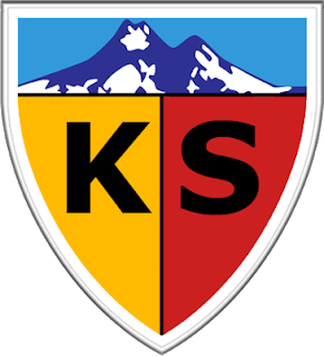 dls-Kayserispor-kits-2018-2019-logo